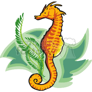 Orangeish red seahorse