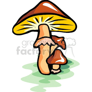 mushroom0001