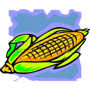 Corn on the cob