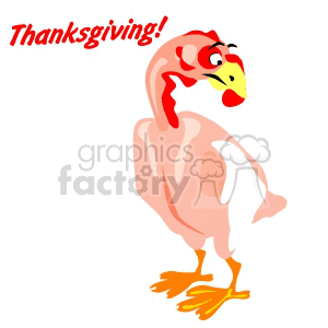 Thanksgiving Cartoon Turkey