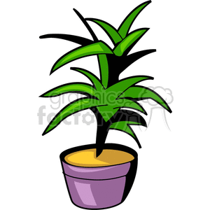 Potted Plant with Green Leaves