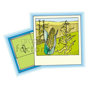 Cornfield Illustration on Map - Agriculture