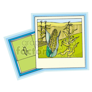 The clipart image shows two overlapping maps or brochures. The topmost map features an illustration of a cornfield with a detailed drawing of an ear of corn in the foreground. The corn stalks are tall and green, with yellow and green corn cobs. The backdrop suggests a sunny day and an outdoor agricultural setting. The map beneath appears to have a simple outline of a landmass or location with no specific details.