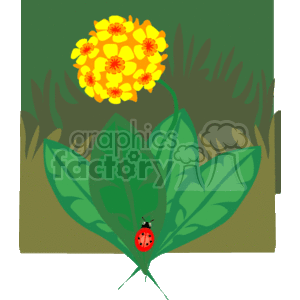 Yellow Flowers and Ladybug in Nature Scene