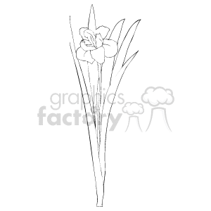 This image is a simple black and white line art drawing of a single flower with leaves.