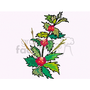 A decorative illustration of a plant with green leaves and small red flowers.