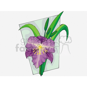 Clipart image of a purple iris flower with green leaves.