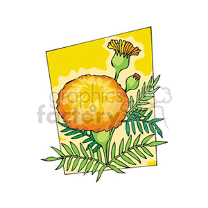 Illustration of a bright yellow and orange dandelion flower with green leaves against a yellow background.