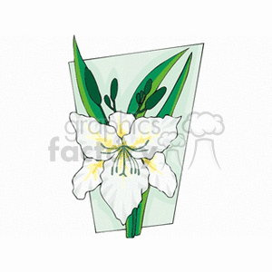 White Flower with Green Leaves