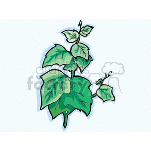 Clipart image of a green leafy plant with multiple leaves and a light blue shadow.