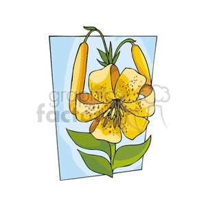 Yellow Flower on Blue Background