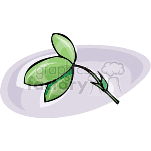 Simple Green Leaf