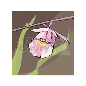 A clipart image of a pink and yellow flower hanging from a branch against a simple background.