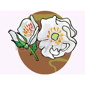 Illustration of white flowers with orange and yellow accents against a brown circular background.