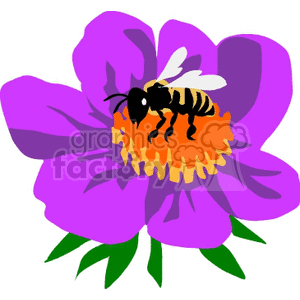 A clipart image of a bee on a vibrant purple flower with green leaves.