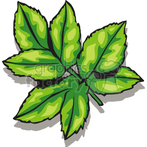 Illustrated Green Leaf