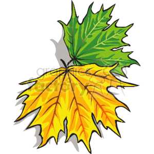 The image is a clipart featuring two stylized leaves, one depicting a green summer leaf and the other a yellow fall leaf showing a transition between seasons.