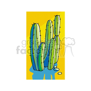 cactus161312