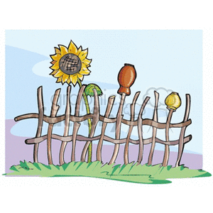 Sunflower behind a small wooden fence