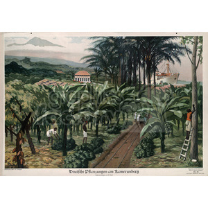 Clipart image depicting a German plantation at Kamerunberg. The image shows workers attending to agricultural activities among rows of plants, with a colonial-style building and palm trees in the background, and a ship docking at the harbor.