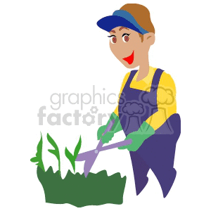 Clipart image of a person gardening, using clippers to trim plants.