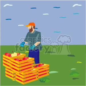 A clipart image depicting a farmer standing beside crates of vegetables in a field.