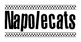 The image contains the text Napolecats in a bold, stylized font, with a checkered flag pattern bordering the top and bottom of the text.
