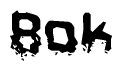 This nametag says Bok, and has a static looking effect at the bottom of the words. The words are in a stylized font.