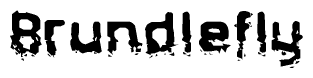 The image contains the word Brundlefly in a stylized font with a static looking effect at the bottom of the words