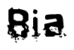 This nametag says Bia, and has a static looking effect at the bottom of the words. The words are in a stylized font.