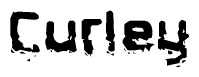 The image contains the word Curley in a stylized font with a static looking effect at the bottom of the words