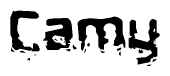 The image contains the word Camy in a stylized font with a static looking effect at the bottom of the words