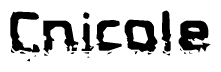 This nametag says Cnicole, and has a static looking effect at the bottom of the words. The words are in a stylized font.