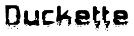 This nametag says Duckette, and has a static looking effect at the bottom of the words. The words are in a stylized font.