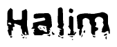 This nametag says Halim, and has a static looking effect at the bottom of the words. The words are in a stylized font.