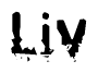 This nametag says Liv, and has a static looking effect at the bottom of the words. The words are in a stylized font.