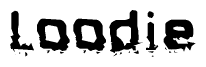 The image contains the word Loodie in a stylized font with a static looking effect at the bottom of the words
