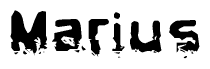 The image contains the word Marius in a stylized font with a static looking effect at the bottom of the words