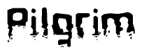 The image contains the word Pilgrim in a stylized font with a static looking effect at the bottom of the words