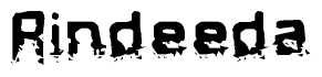 This nametag says Rindeeda, and has a static looking effect at the bottom of the words. The words are in a stylized font.