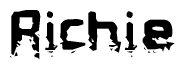 The image contains the word Richie in a stylized font with a static looking effect at the bottom of the words