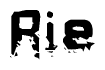 The image contains the word Rie in a stylized font with a static looking effect at the bottom of the words