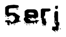 This nametag says Serj, and has a static looking effect at the bottom of the words. The words are in a stylized font.