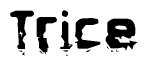 This nametag says Trice, and has a static looking effect at the bottom of the words. The words are in a stylized font.