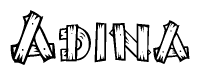 The image contains the name Adina written in a decorative, stylized font with a hand-drawn appearance. The lines are made up of what appears to be planks of wood, which are nailed together