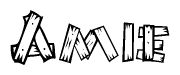 The image contains the name Amie written in a decorative, stylized font with a hand-drawn appearance. The lines are made up of what appears to be planks of wood, which are nailed together