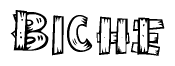 The image contains the name Biche written in a decorative, stylized font with a hand-drawn appearance. The lines are made up of what appears to be planks of wood, which are nailed together