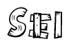 The image contains the name Sei written in a decorative, stylized font with a hand-drawn appearance. The lines are made up of what appears to be planks of wood, which are nailed together