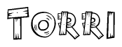 The image contains the name Torri written in a decorative, stylized font with a hand-drawn appearance. The lines are made up of what appears to be planks of wood, which are nailed together