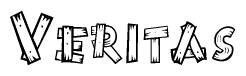 The image contains the name Veritas written in a decorative, stylized font with a hand-drawn appearance. The lines are made up of what appears to be planks of wood, which are nailed together